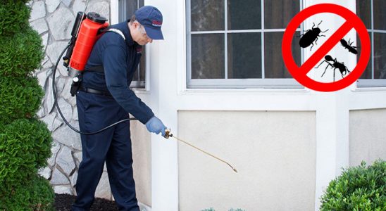 Oğuzlar Haşere İlaçlama böcek ilaçlama ve haşere kontrolü — ilaclama-tr.com